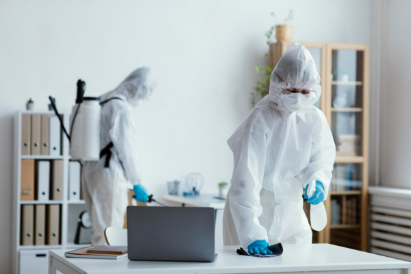 Dezinsectie nonstop Bucuresti - semne clare si solutii rapide 13 Dezinsectie nonstop Bucuresti – semne clare si solutii rapide